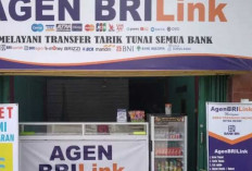 Agen Brilink Sasar hingga Desa Sukapulih, Banyak PMI Transfer Uang Lewat Agen Brilink Aman, Cepat dan Mudah 