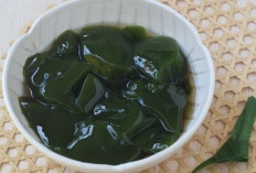 Cincau Hijau: Minuman Tradisional yang Menyegarkan dan Penuh Manfaat Kesehatan