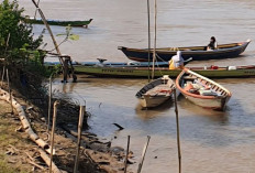 Pemprov Sumsel Dorong Masyarakat Galakkan Budi Daya Ikan  