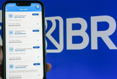 Kelola Uang Makin Mudah dengan Fitur Atur Limit Transaksi Kartu Debit di BRImo!