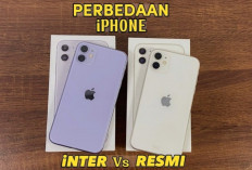 Banyak yang Tertipu! Ini Fakta Perbedaan iPhone Inter dan iPhone iBox 