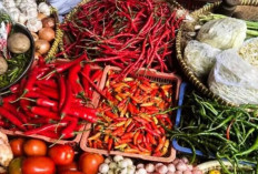Harga Pangan 5 April 2025 : Cabai Rawit Merah Turun Menjadi Rp91.500 per Kilogram !