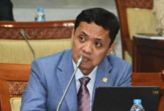 Terima 196 Masukan Soal RUU KUHAP dari Peradi   