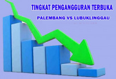 Tingkat Pengangguran Terbuka Lubuklinggau Vs Palembang : Terbanyak Lulusan SMA dan SMK !