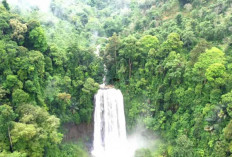 Sekitarnya Banyak Tumbuhan Bakuang: Air Terjun Setinggi 60 Meter Ini Hanya Ada di Lampung!