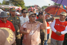 Ratusan Layang-Layang Raksasa Hiasi Langit  Desa Pinang Banjar