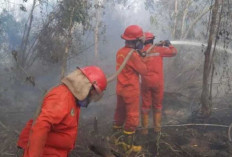 Sinergikan Kesedaran, Tindakan dan Sanksi 