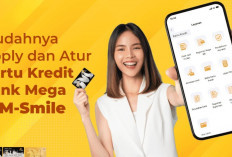 Bank Mega dan Visa Luncurkan Fitur Pembayaran Tap to Pay di Ponsel : Kiamat Kartu ATM Kian Dekat !