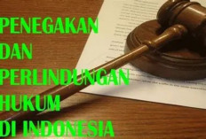 Alarm Penegakan Hukum: Rentetan Amnesti, Abolisi, dan Rehabilitasi Ungkap Rapuhnya Sistem Peradilan Indonesia