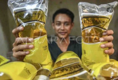 Harga Pangan 7 Oktober2024 : Minyak Goreng Stabil, Beras dan Cabai Alami Perubahan !