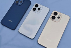 Bukan Sekadar Kamera: Oppo Reno15 Series Hadir untuk Kreator Konten Generasi Baru !