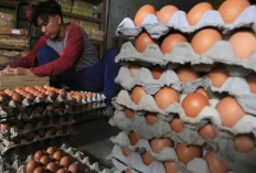 Harga Pangan 24 Mei 2025: Telur Ayam dan Bawang Merah Turun, Beras Premium Naik Tipis !