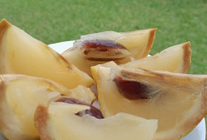 Obati Cacingan dan Bengkak dengan Buah Abiu
