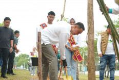 Penanaman 300 Pohon Tabebuya Warnai Peringatan HUT ke-80 Kabupaten OKI
