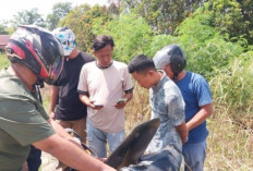   Pelaku Spesialis Pembobol Rumah dan Ruko di Baturaja Diringkus Polisi