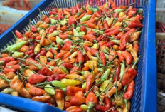 Harga Pangan 27 Februari 2025 : Cabai Rawit Rp85.150/Kg, Bawang Merah Rp34.050/Kg !