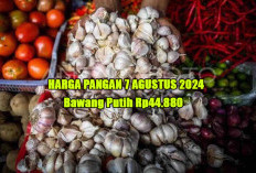 Harga Pangan 7 Agustus 2024 : Bawang Putih Tembus Rp44.880 per Kg dan Minyak Rp20.220 per Kg !