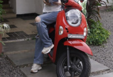 Motor Sering Kotor? Waspadai Kerusakan Cat dan Komponen Tersembunyi Ini