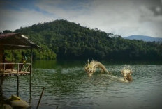 Misteri Danau Rakihan OKU Selatan : Siapa Puyang Janggut dan Sepasang Naga Emas ?