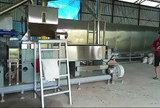 Pabrik Pakan Ikan di Ogan Ilir Sudah Mulai Produksi, Sehari Mampu Produksi Segini!