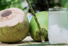 Air Kelapa Dapat Menyehatkan Kulit dan Melancarkan Sistem Pencernaan