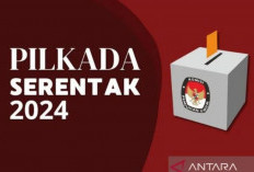 Belum Ada yang Mendaftar : Berikut Daftar Lengkap 43 Daerah dengan Calon Tunggal Pilkada Serentak 2024 !