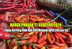 Harga Pangan 27 Agustus 2024: Cabai Keriting Naik Rp6.680 Menjadi Rp49.390 per Kg !