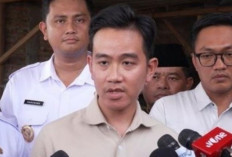 Gibran Ngantor di Papua?   
