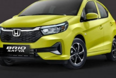CR-V dan BR-V Cetak Kenaikan Tajam, Honda Makin Perkasa di Segmen SUV
