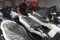 Motor Entry Level Masih Raja ! Penjualan Domestik dan Ekspor Naik di Mei 2025