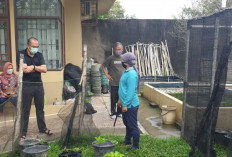 Unsri Kembangkan Urban Farming 3 in 1 untuk Siasati Keterbatasan Lahan di Palembang