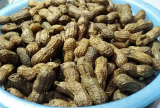 Cegah Depresi dan Tingkatkan Kesehatan Mental dengan Kacang Rebus