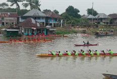 Adu Kekuatan dan Kecepatan, 45 Bidar Berkompetisi di Sungai Babatan Pedamaran