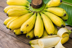 Pisang, Buah yang Disebut dalam Al-Qur'an dan Ini Manfaatnya untuk Kesehatan