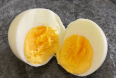 Telur Rebus: Sumber Protein Sederhana, Sehat, dan Terjangkau untuk Gaya Hidup Modern