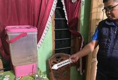 Nekat Bunuh Diri Dengan Meneguk Insektisida