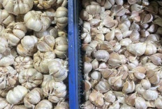 Harga Pangan 9 Desember 2024 : Bawang Putih dan Komoditas Lainnya Mengalami Kenaikan, Berikut Rinciannya !