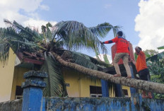 4 Sekolah di OKU Selatan Rusak Diterjang Puting Beliung, BPBD Imbau Waspada Cuaca Ekstrem