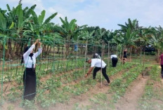 Lapas Kayuagung Dukung Ketahanan Pangan Melalui Optimalisasi SAE
