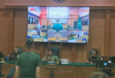 Peltu Lubis Divonis 3,5 Tahun Penjara