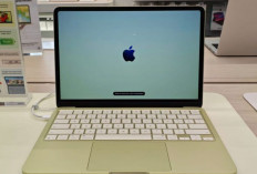 Apple Luncurkan MacBook Neo: Laptop dengan Chip A18 Pro, Baterai Tahan 16 Jam dan Harga Terjangkau