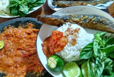 Pecel Lele : Idola Ketika Malas Makan, Tetap Menggoda Selera