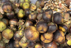 Jaga Kesehatan Pencernaan dan Kulit dengan Jus Buah Lontar 