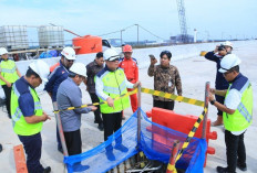 Wagub Cik Ujang Optimis Jembatan Musi V Fungsional saat Arus Mudik Lebaran 2026