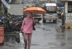 Prakiraan Cuaca BMKG Sabtu 15 Juni 2024 :  Palembang Diprediksi Hujan Sedang hingga Lebat Disertai Petir !