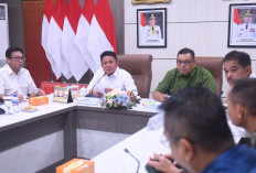 Gubernur Herman Deru Tegaskan Komitmen Sumsel Dukung Ketahanan Pangan Lewat Cetak Sawah