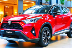 Rekomendasi 10 City Car Terbaik 2025: Siap Melibas Jalan Perkotaan, Honda Brio Termasuk !