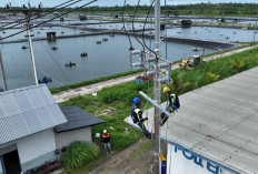 Efisiensi Rp123 Juta Lebih Perhari Berkat Listrik PLN