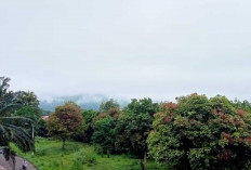Waduh ! Bukit Sulap di Lubuklinggau Menghilang dari Pandangan Sejak 3 Hari Terakhir   
