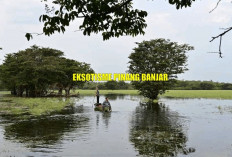 Eksotisme Pinang Banjar : Destinasi Wisata bak Negeri Dongeng di Sumatera Selatan